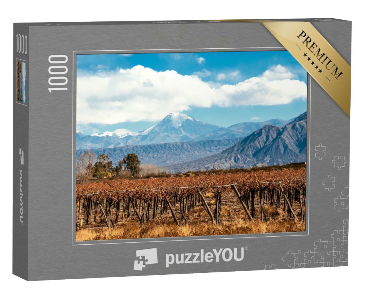 Puzzle 1000 Teile „Vulkan Aconcagua und Weinberg, Anden, Argentinien“