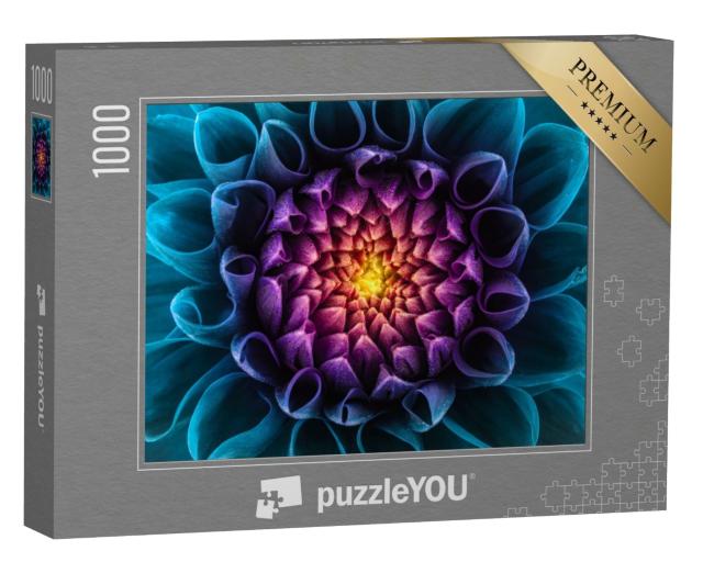Puzzle 1000 Teile „Lila und blaue Chrysanthemen“