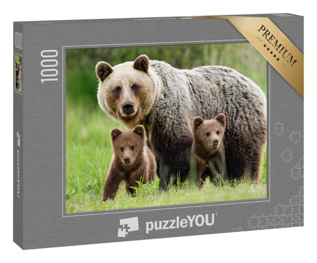Puzzle 1000 Teile „Ein Braunbärenweibchen mit zwei Jungtieren“