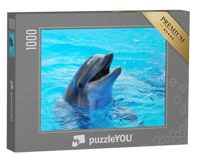 Puzzle 1000 Teile „Delphine in einem Pool“