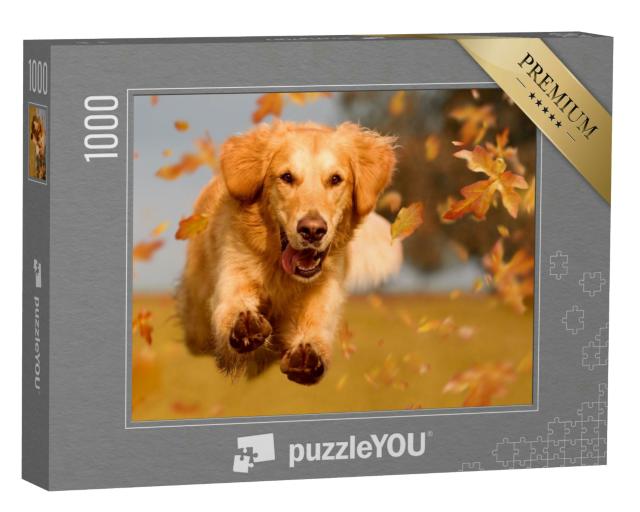 Puzzle 1000 Teile „Golden Retriever beim Toben durch Herbstlaub“