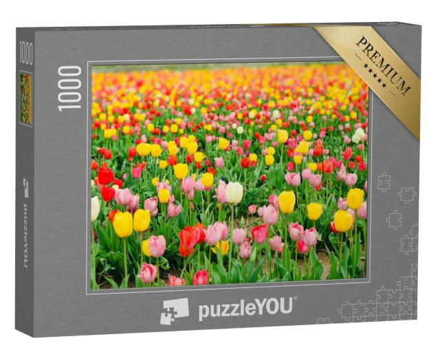 Puzzle 1000 Teile „Mehrfarbige Tulpen blühen auf einem Feld, Japan“