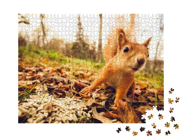 Puzzle 1000 Teile „Eichhörnchen im Wald“