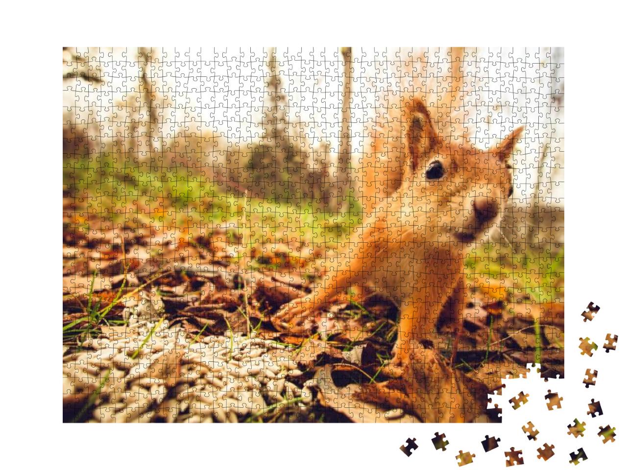 Puzzle 1000 Teile „Eichhörnchen im Wald“
