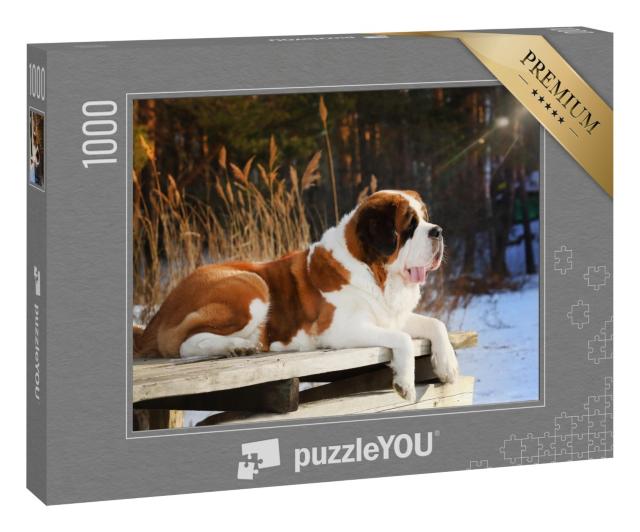 Puzzle 1000 Teile „Ein Bernhardiner liegt auf einem Holzsteg im Winter“