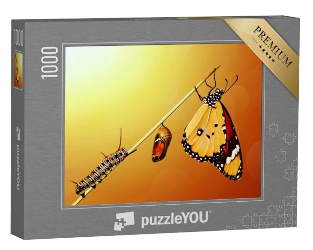 Puzzle 1000 Teile „Die Transformation eines Schmetterlings“