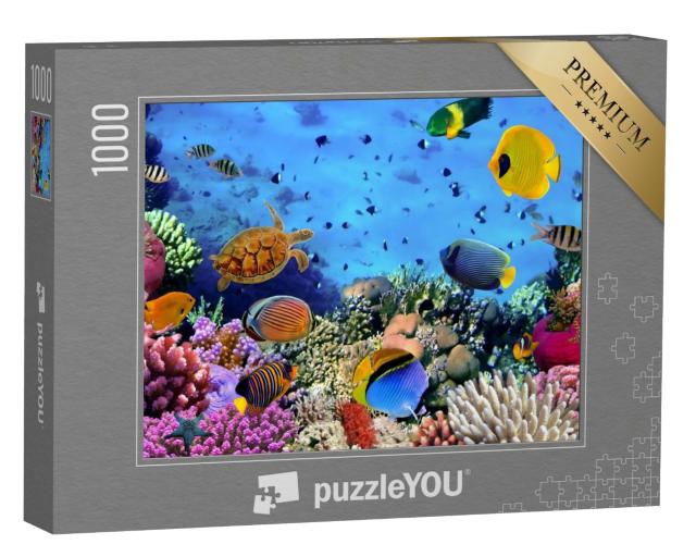 Puzzle 1000 Teile „Korallenkolonie im Roten Meer, Ägypten“