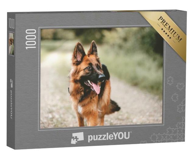 Puzzle 1000 Teile „Nahaufnahme eines Deutschen Schäferhundes“