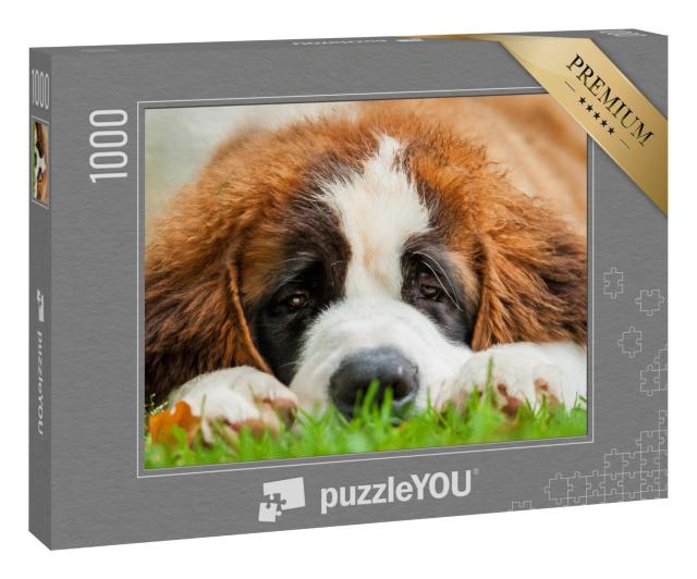 Puzzle 1000 Teile „Porträt eines Bernhardinerwelpen im Gras“