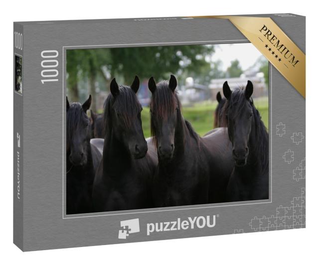 Puzzle 1000 Teile „Friesische Junghengste“
