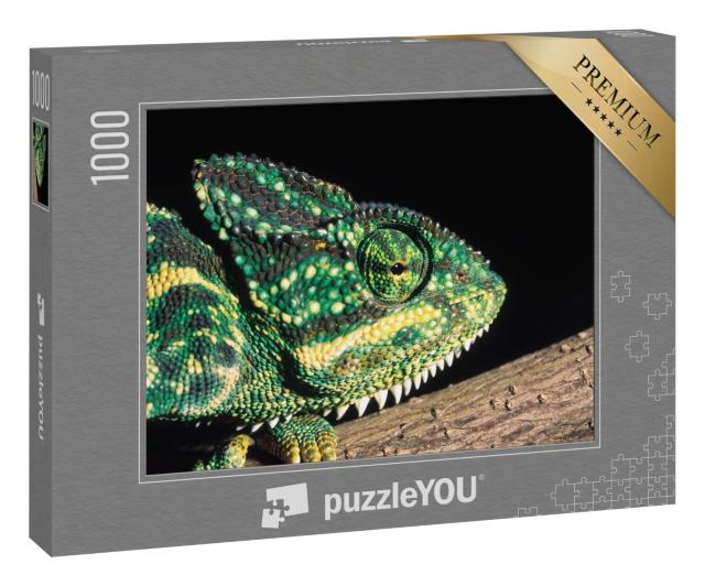 Puzzle 1000 Teile „Indisches Chamäleon, Indien“