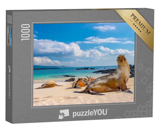 Puzzle 1000 Teile „Robben am Strand der Galapagos-Inseln, Ecuador“