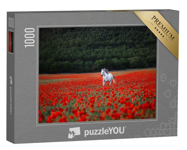 Puzzle 1000 Teile „Ein weißes Pferd galoppiert über ein rotes Mohnfeld“