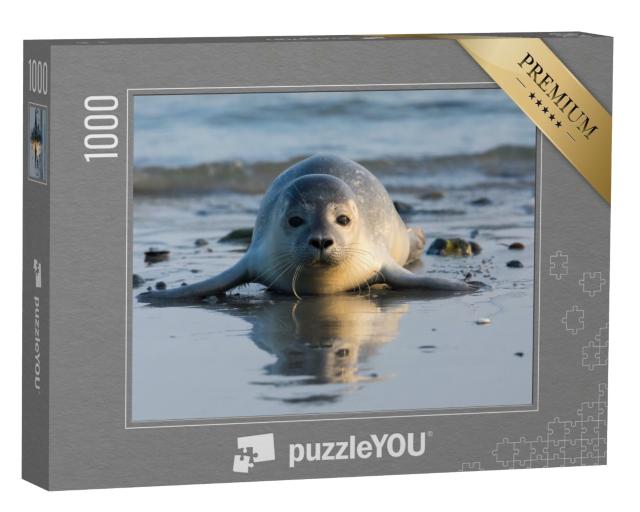 Puzzle 1000 Teile „Seehundwelpe am Strand von Helgoland“