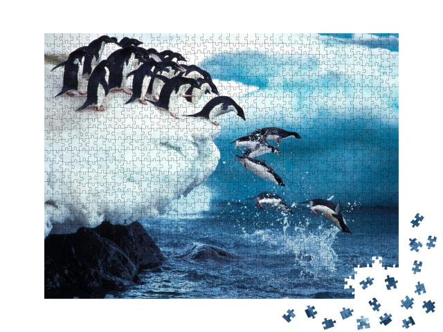 Puzzle 1000 Teile „Ein Adeliepinguin springt ins Meer, Antarktis“