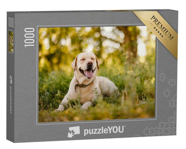 Puzzle 1000 Teile „Goldener Labrador Retriever bei einer Pause im Park“