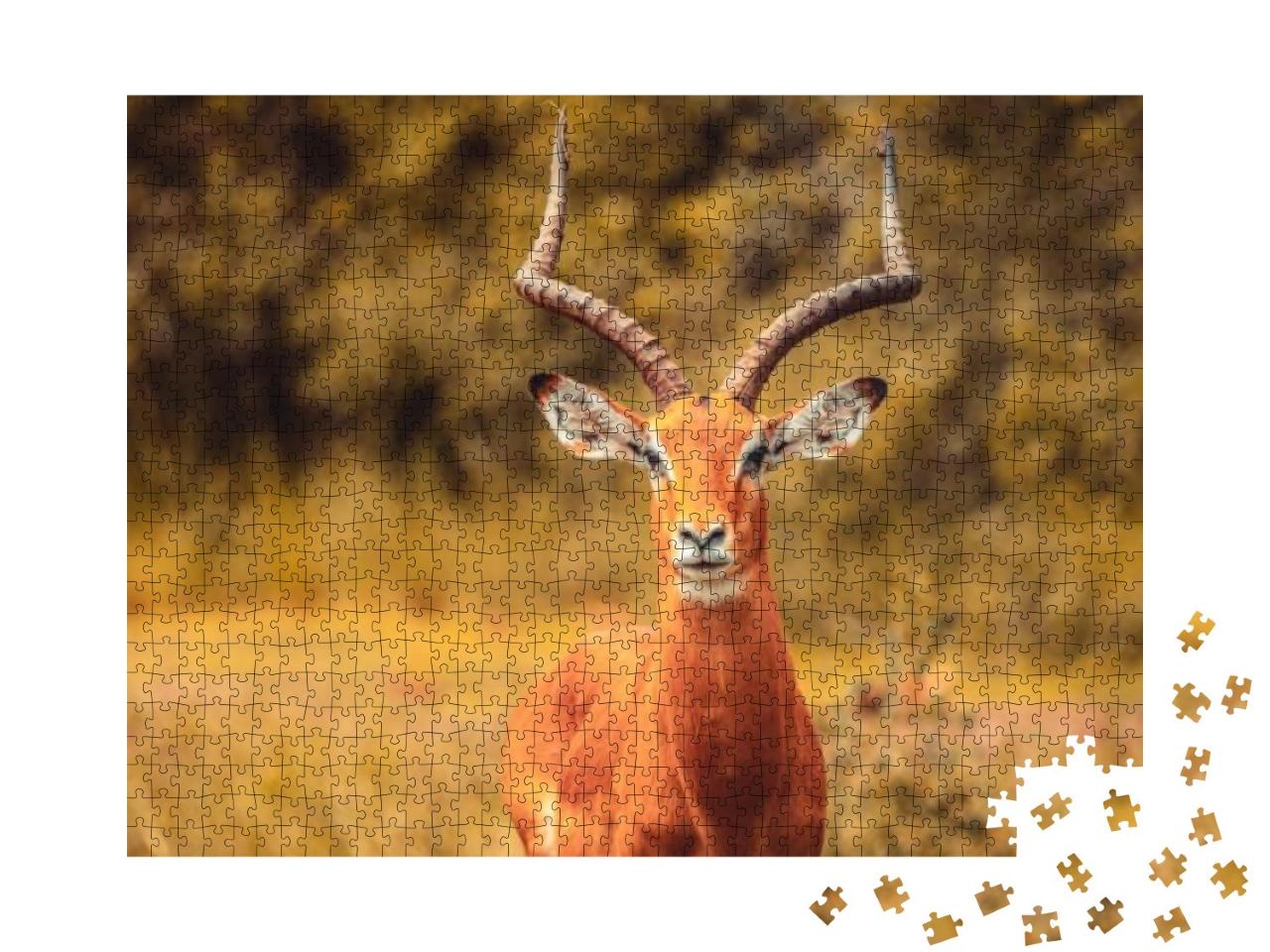 Puzzle 1000 Teile „Impala-Antilope“