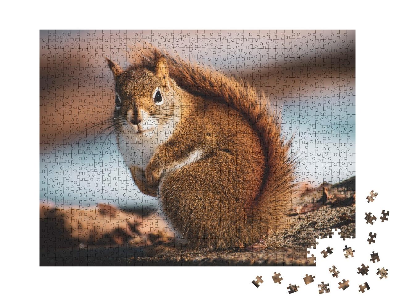 Puzzle 1000 Teile „Kleines Eichhörnchen im Wald“