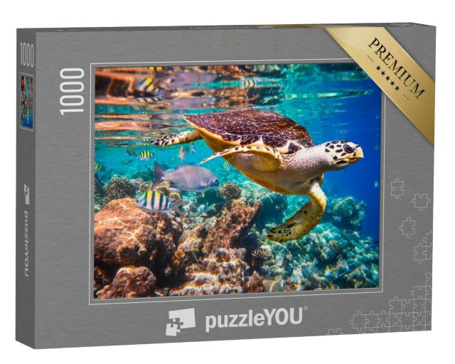 Puzzle 1000 Teile „Echte Karettschildkröte im Korallenriff“