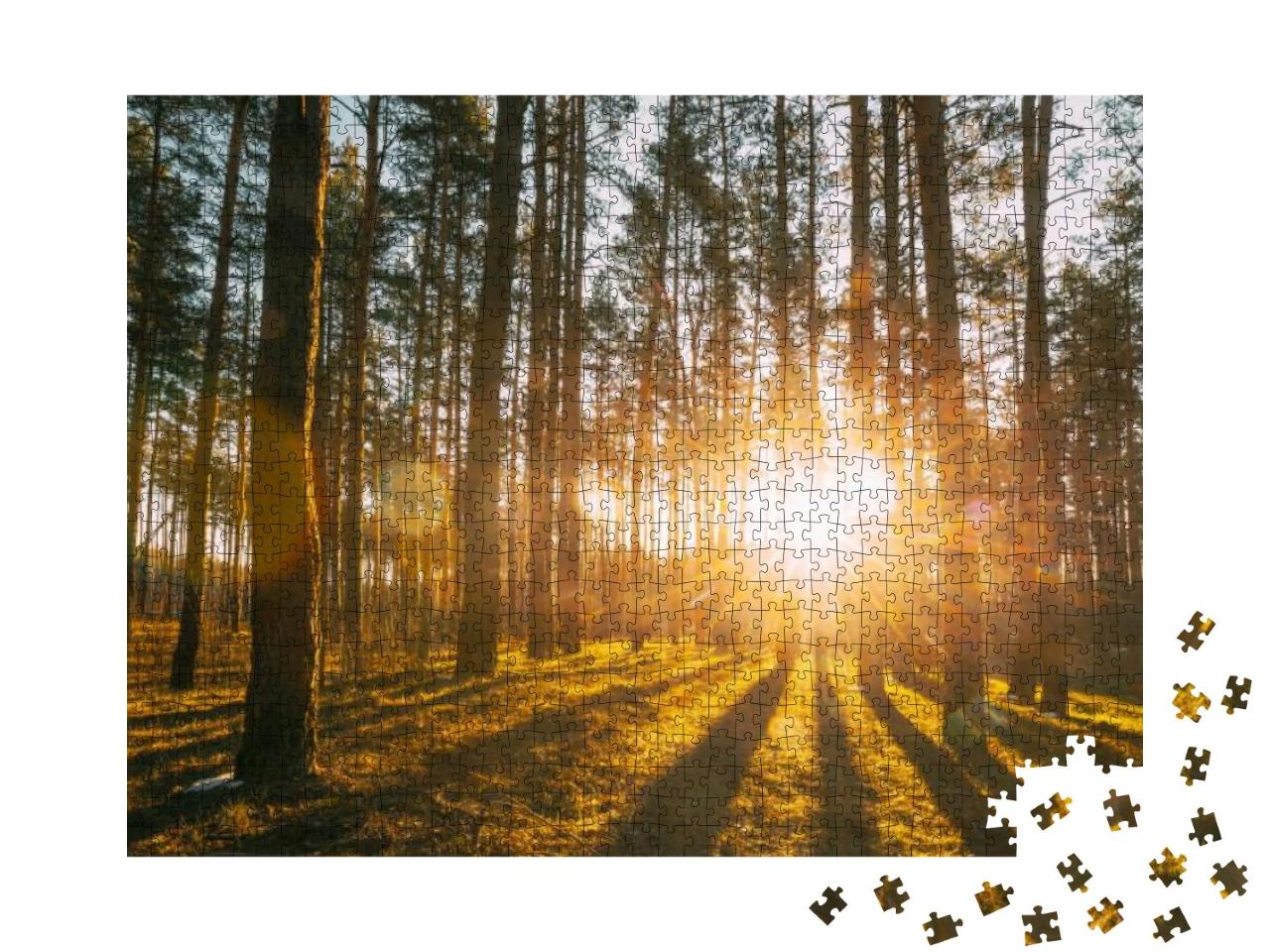 Puzzle 1000 Teile „Sonnenstrahlen im Wald“