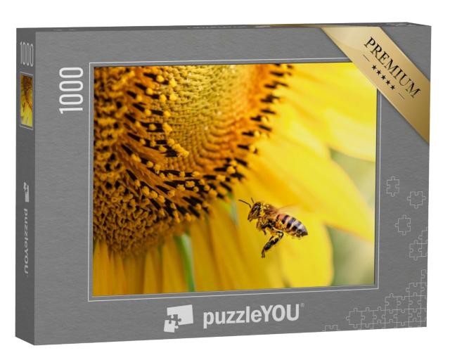 Puzzle 1000 Teile „Honigbiene bestäubt eine Sonnenblume“