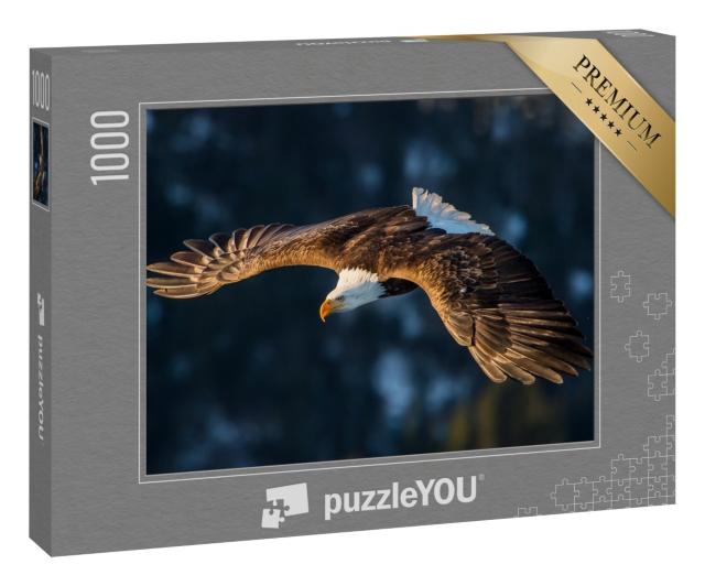 Puzzle 1000 Teile „Weißkopfseeadler über einem Berg in Alaska“