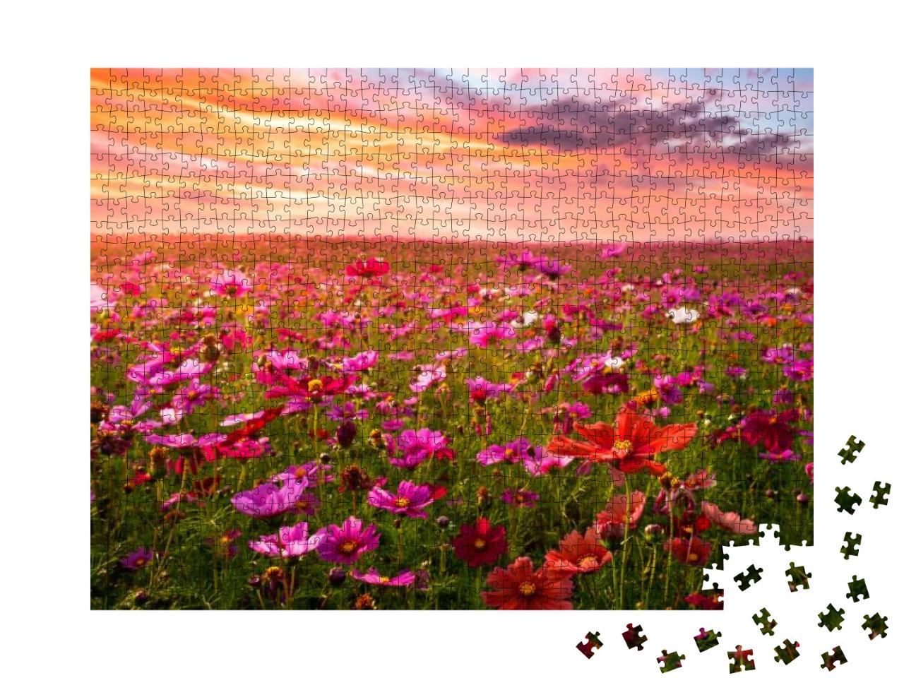 Puzzle 1000 Teile „Kosmeen auf dem Feld “