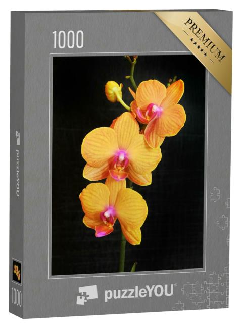 Puzzle 1000 Teile „Orangefarbene Phalaenopsis-Orchidee mit satt blühenden Blüten“