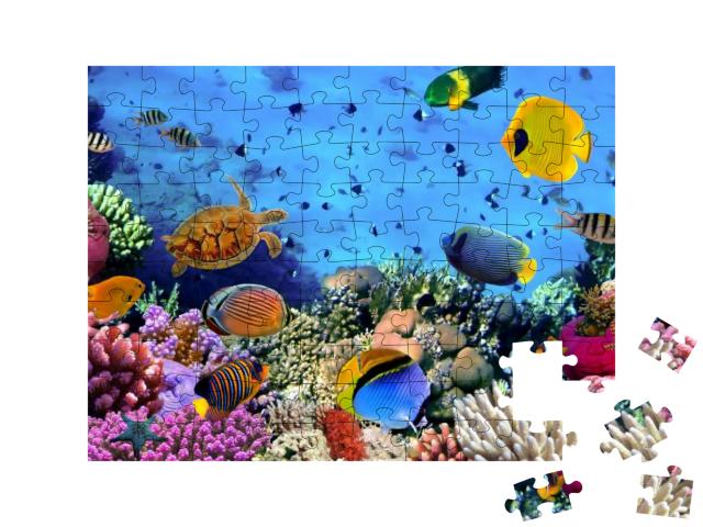 Puzzle 100 Teile „Korallenkolonie im Roten Meer, Ägypten“