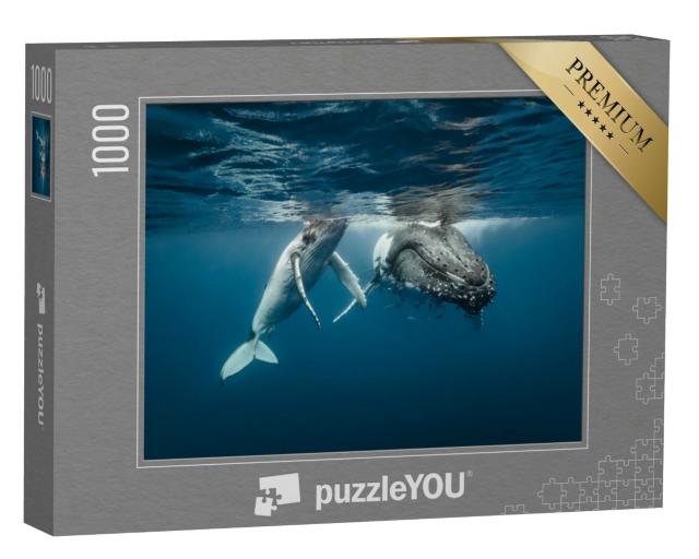 Puzzle 1000 Teile „Eine Buckelwal-Mutter und ihr Kalb im kristallklaren Wasser“