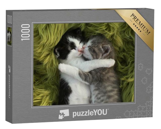 Puzzle 1000 Teile „Zwei kuschelige Kätzchen“