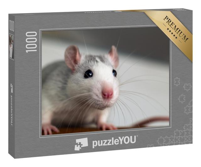 Puzzle 1000 Teile „Nahaufnahme einer lustigen weißen Hausratte“
