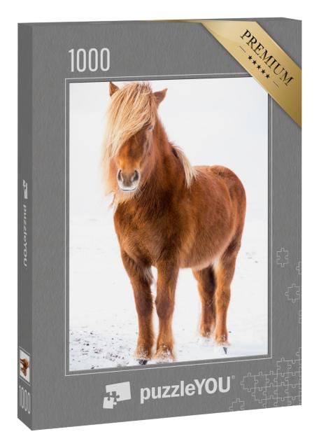 Puzzle 1000 Teile „Island-Pferd im Schnee“