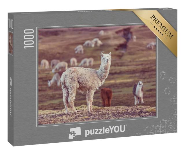 Puzzle 1000 Teile „Ein Peruanisches Alpaka, Anden“