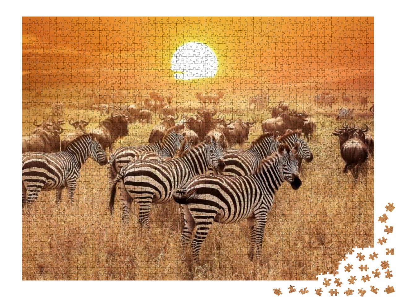 Puzzle 2000 Teile „Zebra bei Sonnenuntergang im Serengeti-Nationalpark, Afrika, Tansania“