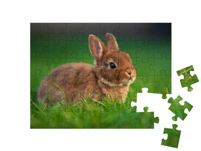 Puzzle 48 Teile „Baby-Kaninchen auf grünem Gras“