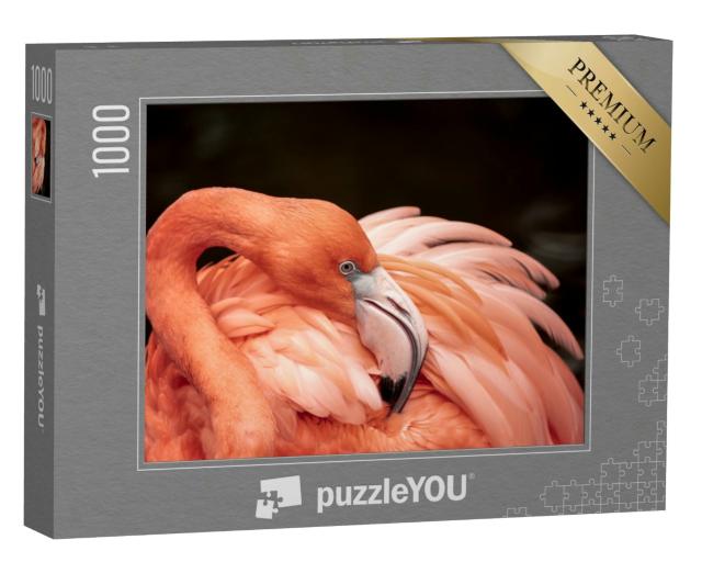 Puzzle 1000 Teile „Portrait eines rosa Flamingos“