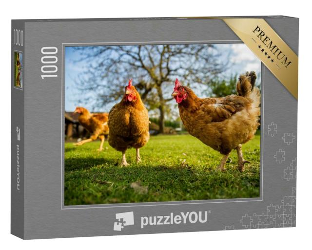 Puzzle 1000 Teile „Freilandhühner auf einem traditionellen Geflügelhof“