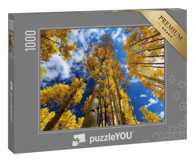 Puzzle 1000 Teile „Der Herbst in den Rocky Mountains mit goldenen Aspen, Colorado“