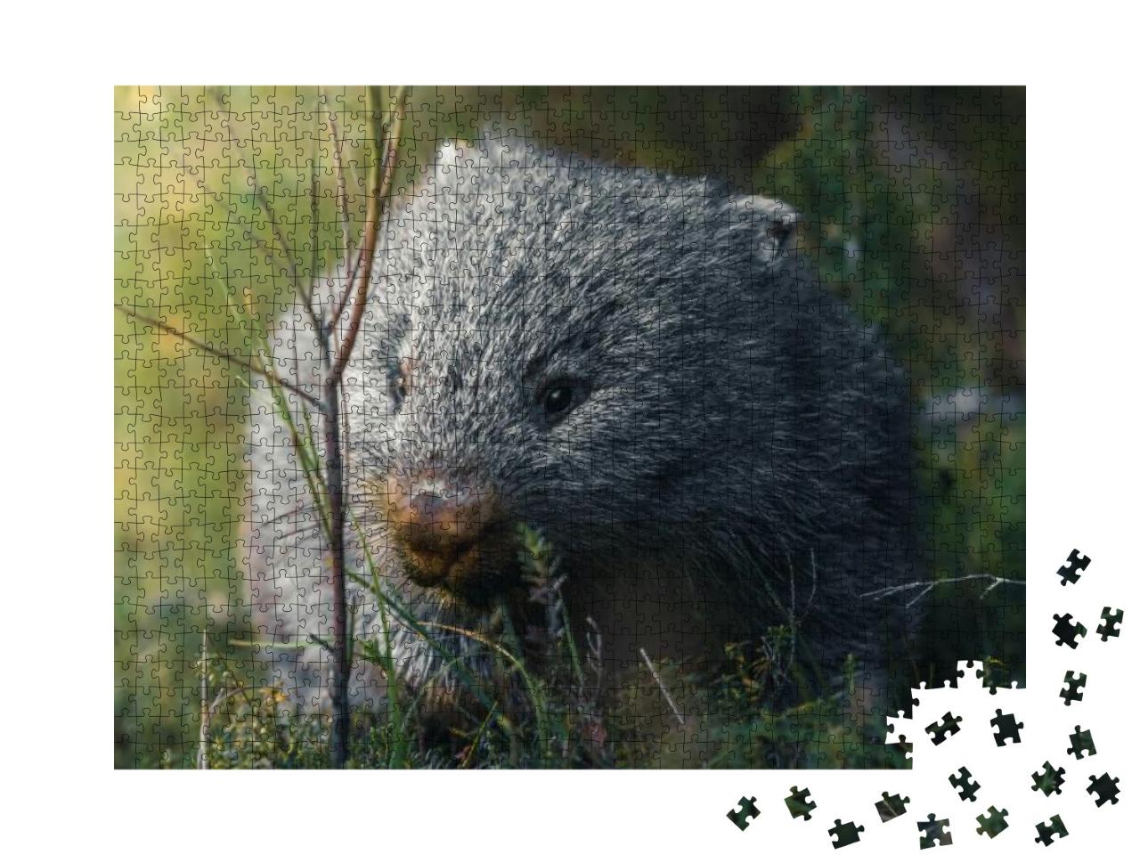 Puzzle 1000 Teile „Wombat auf seinem Snack-Run“