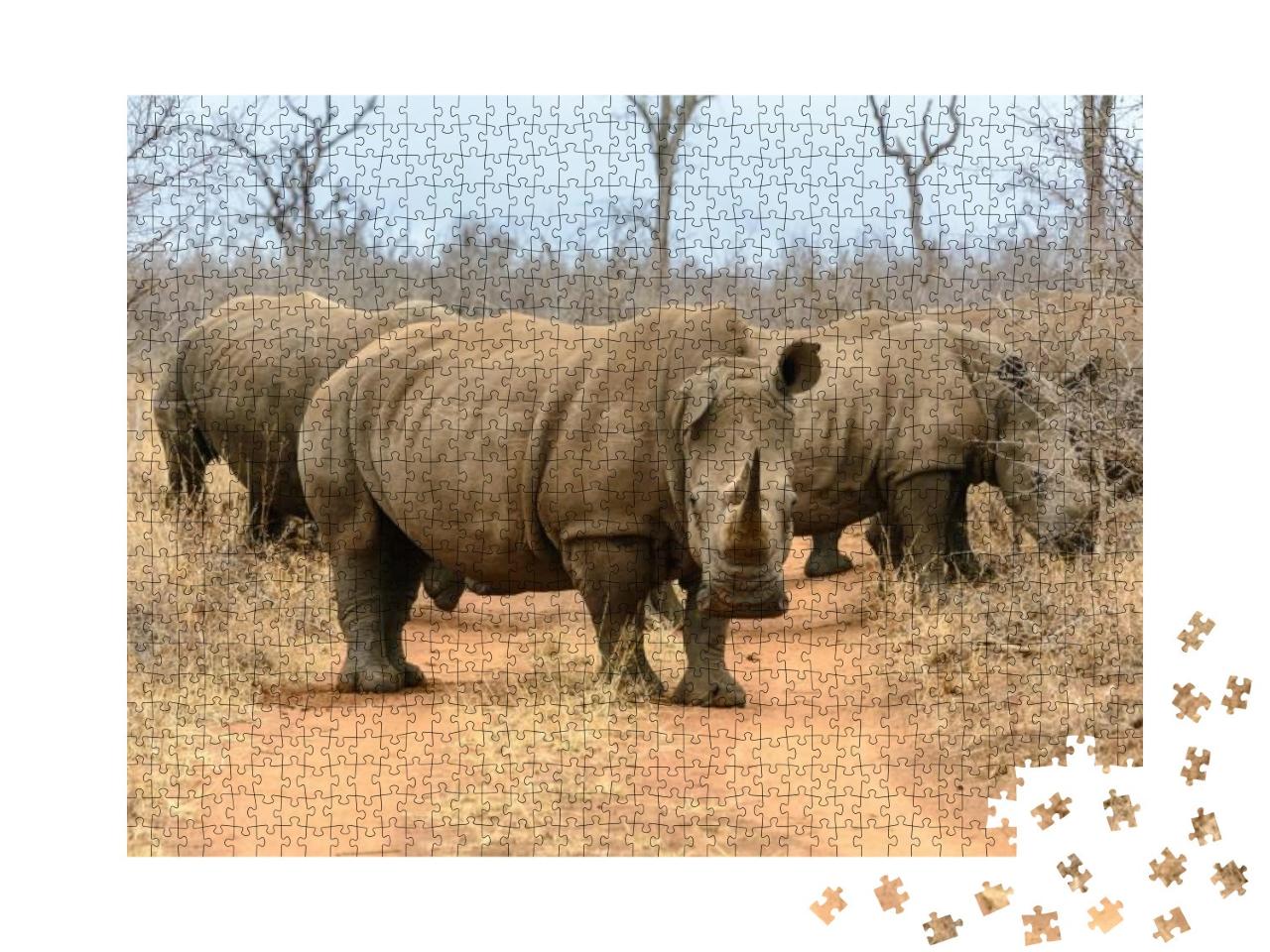Puzzle 1000 Teile „Eine Herde Breitmaulnashörner im Hlane Royal National Park, Swasiland“