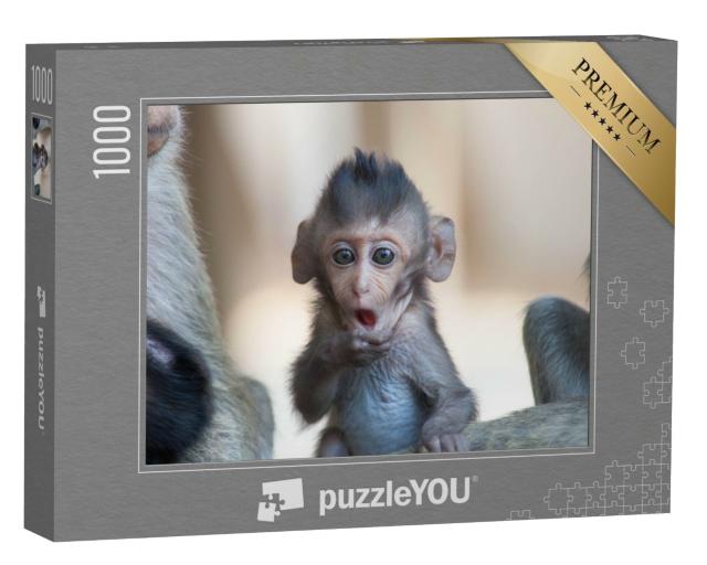 Puzzle 1000 Teile „Ein kleiner Affe im Wald, Thailand“