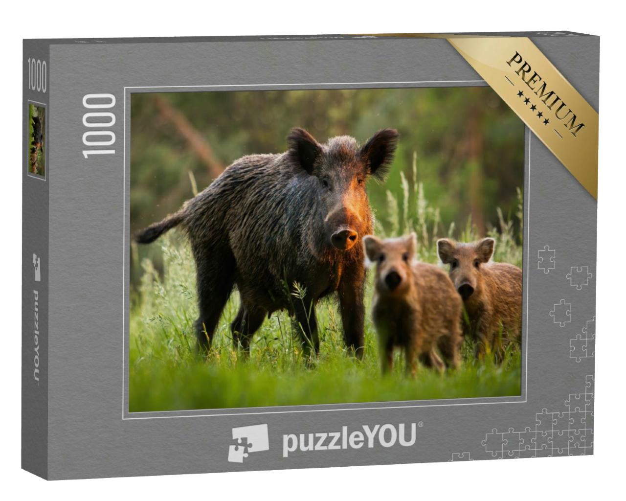 Puzzle 1000 Teile „Familie von Wildschweinen mit jungen Frischlingen “