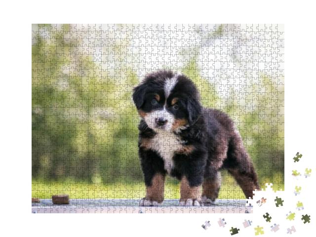 Puzzle 1000 Teile „Niedlicher Berner Sennenhund Welpe“
