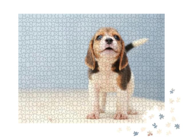 Puzzle 1000 Teile „Kleiner niedlicher Beagle-Welpe “