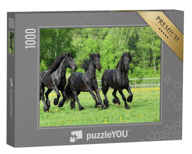 Puzzle 1000 Teile „Friesische Pferde galoppieren auf der Weide“