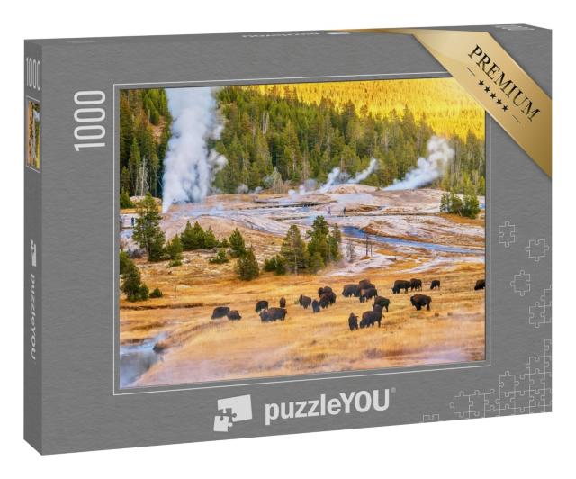 Puzzle 1000 Teile „Bisonherde bei Sonnenuntergang im Yellowstone-Nationalpark“