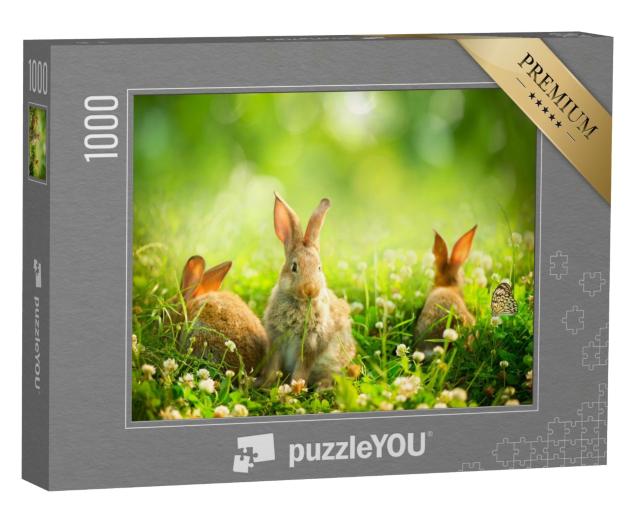 Puzzle 1000 Teile „Kaninchen zwischen Frühlingsblumen und grünem Gras“