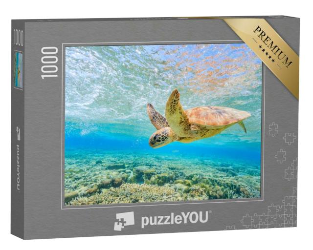 Puzzle 1000 Teile „Eine tauchende Schildkröte, Lagune auf Lady Elliot Island“