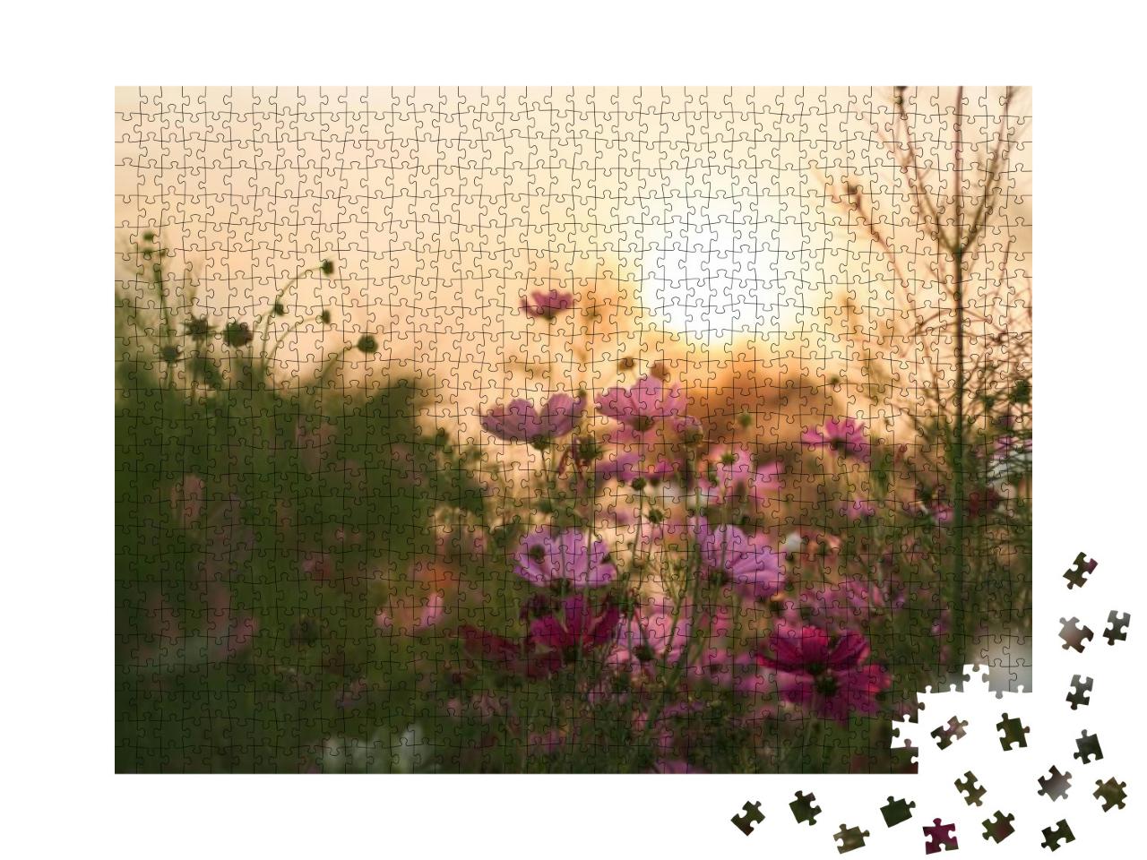 Puzzle 1000 Teile „Blühende Cosmea im Abendlicht“